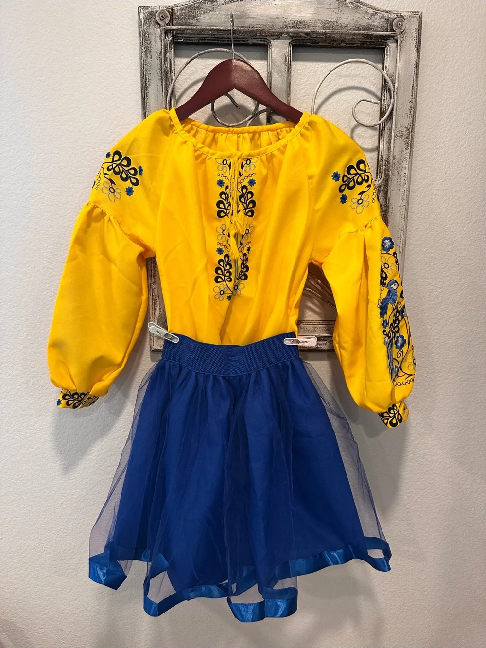 Ukrainian Vishivanka and Skirt Set